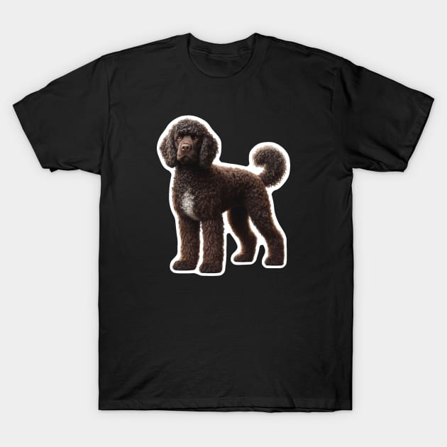 American Water Spaniel T-Shirt by millersye